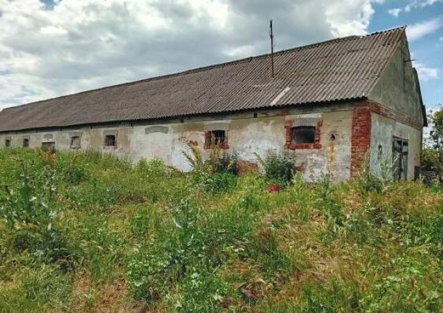 Eladó mezogazdasagi ingatlan, Zamárdiban 60 M Ft