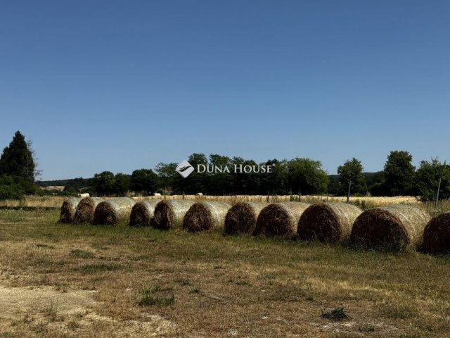Eladó mezogazdasagi ingatlan, Nagyvázsonyon 190 M Ft
