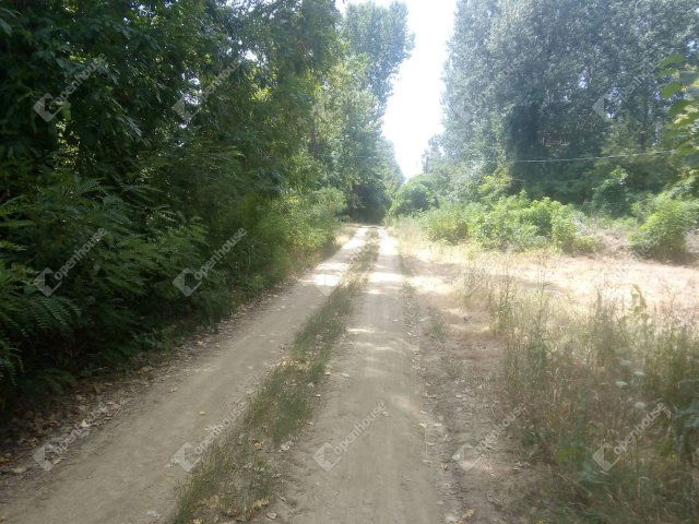 Eladó telek, Nagykörűn 6.99 M Ft / költözzbe.hu