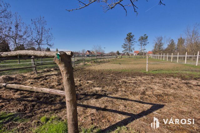 Eladó telek, Békéscsabán 10.5 M Ft / költözzbe.hu