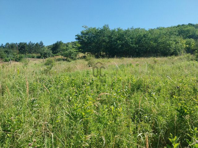 Eladó telek, Szekszárdon 22.399 M Ft / költözzbe.hu