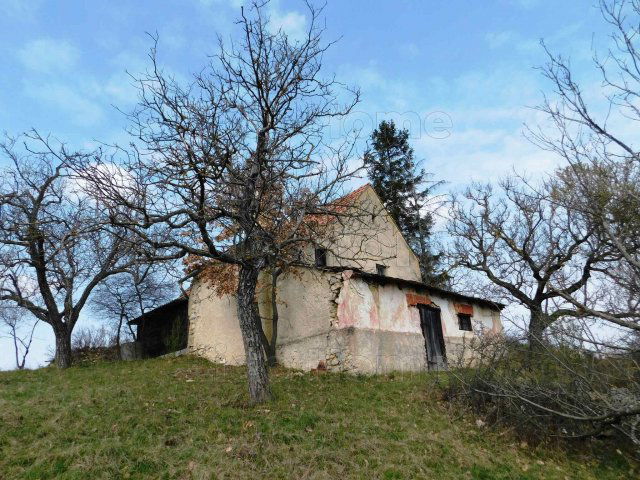 Eladó mezogazdasagi ingatlan, Pécselyen 99.99 M Ft