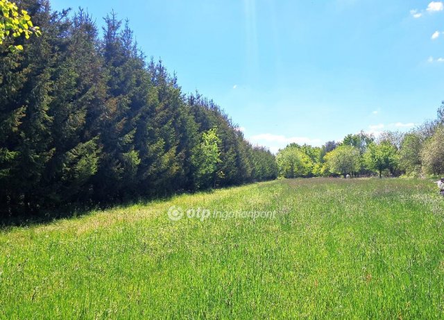 Eladó telek, Szalafőn 30 M Ft / költözzbe.hu