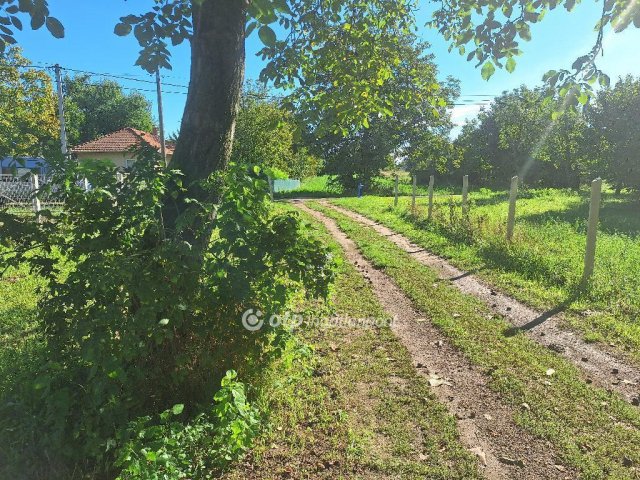 Eladó telek, Tiszafüreden 9.99 M Ft / költözzbe.hu