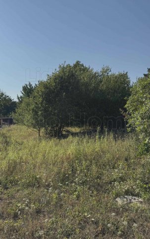 Eladó telek, Balatonkenesén 32 M Ft / költözzbe.hu