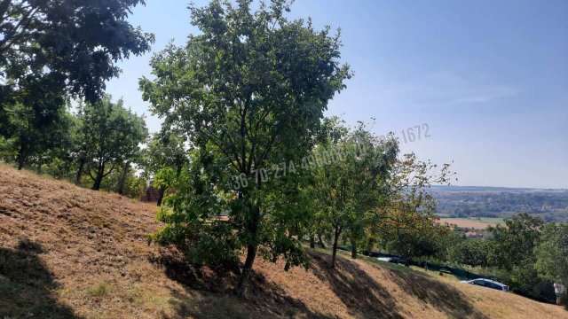 Eladó telek, Cserszegtomajon, Palotai utcában 25 M Ft