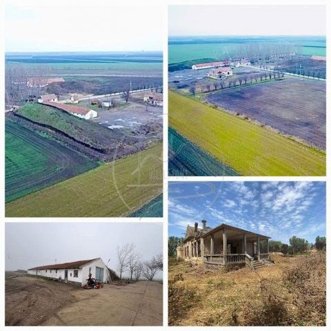 Eladó mezogazdasagi ingatlan, Eleken 120 M Ft