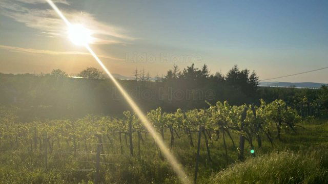 Eladó mezogazdasagi ingatlan, Balatonlelleén 32.5 M Ft