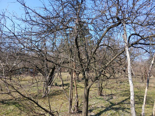 Eladó mezogazdasagi ingatlan, Miskolcon 2.99 M Ft