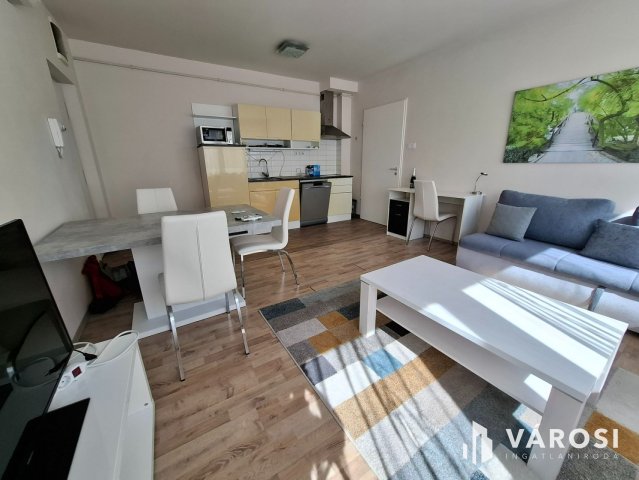 Kiadó téglalakás, albérlet, Szegeden 220 E Ft / hó, 2 szobás