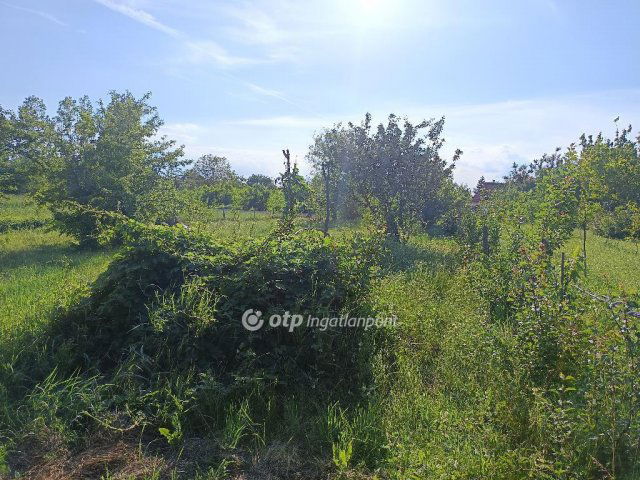 Eladó családi ház, Sarkadon 6.5 M Ft, 1 szobás