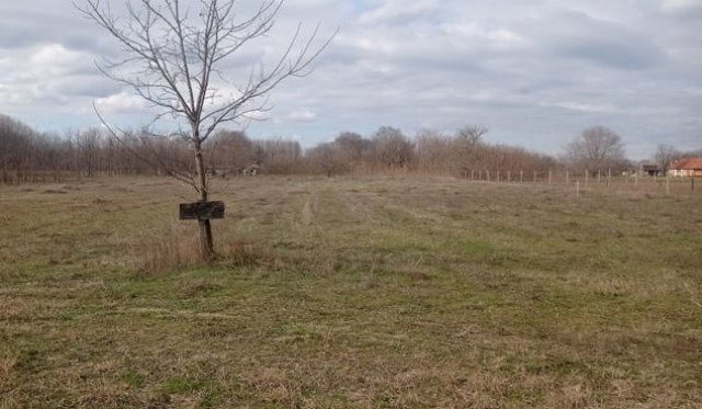 Eladó mezogazdasagi ingatlan, Csemőn 3.5 M Ft