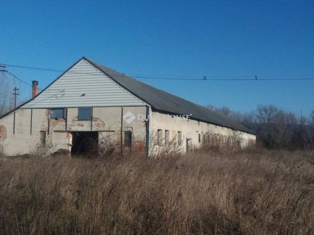 Eladó mezogazdasagi ingatlan, Bodajkon 174.6 M Ft