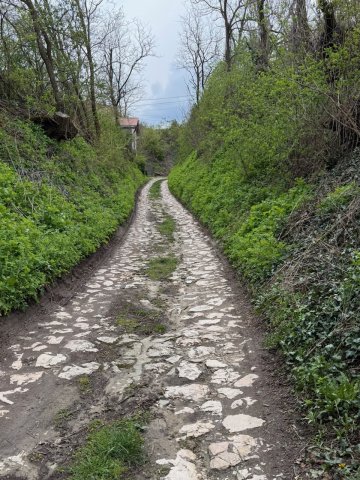 Eladó telek, Győrújbaráton 9.5 M Ft / költözzbe.hu