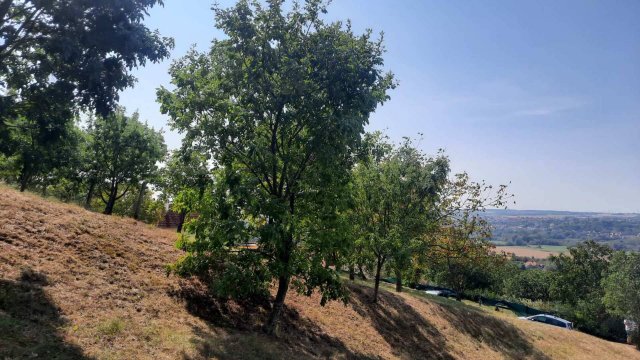 Eladó telek, Cserszegtomajon 25 M Ft / költözzbe.hu