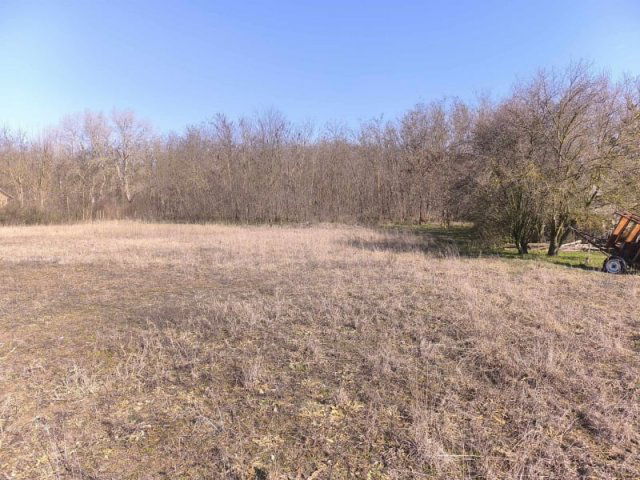 Eladó családi ház, Albertirsán 21.9 M Ft, 1 szobás