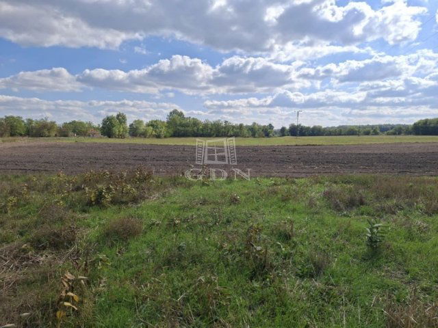 Eladó mezogazdasagi ingatlan, Kerekegyházán 2.4 M Ft