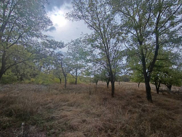 Eladó családi ház, Pálmonostorán 12 M Ft / költözzbe.hu