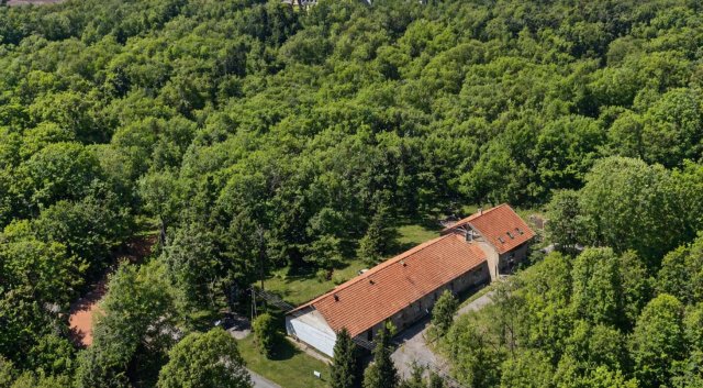 Eladó családi ház, Szabadkígyóson 119 M Ft, 19 szobás