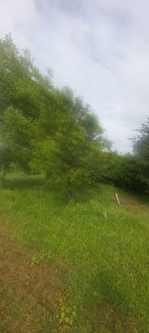 Eladó telek, Pécsett 8.5 M Ft / költözzbe.hu