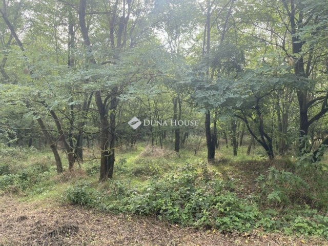 Eladó telek, Vitnyéden 138 M Ft / költözzbe.hu