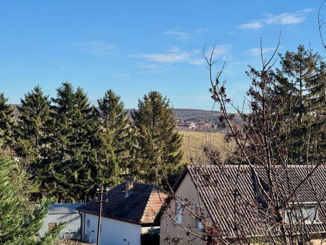 Eladó családi ház, Kerepesen 99.9 M Ft, 7 szobás