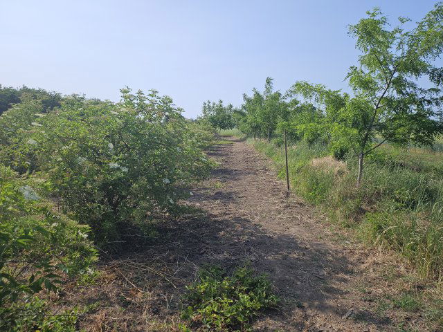 Eladó telek, Kőszárhegyen 4.8 M Ft / költözzbe.hu