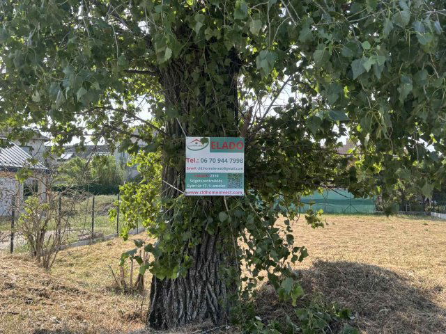 Eladó telek, Szigetszentmiklóson 35 M Ft / költözzbe.hu