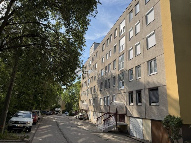 Kiadó panellakás, albérlet, Solymáron, Rozmaring utcában