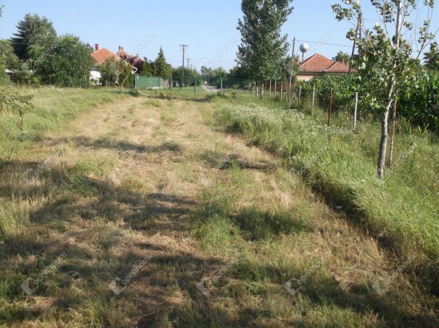 Eladó telek, Tótkomlóson 16.9 M Ft / költözzbe.hu