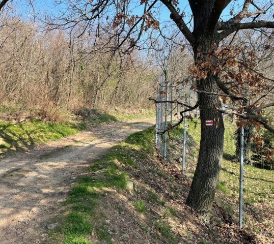 Eladó telek, Badacsonytomajon 29.9 M Ft / költözzbe.hu