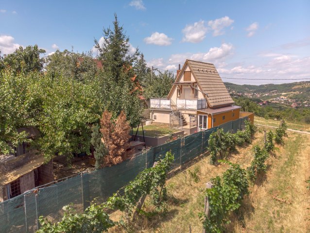 Eladó mezogazdasagi ingatlan, Szekszárdon 22.9 M Ft