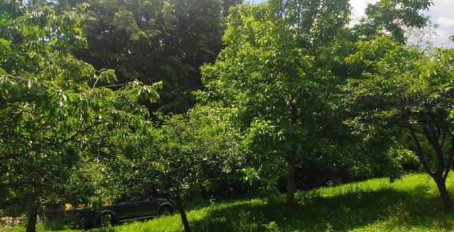 Eladó telek, Kaposváron 6 M Ft, 1 szobás / költözzbe.hu