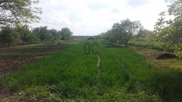 Eladó mezogazdasagi ingatlan, Hajdúszoboszlón 2.5 M Ft