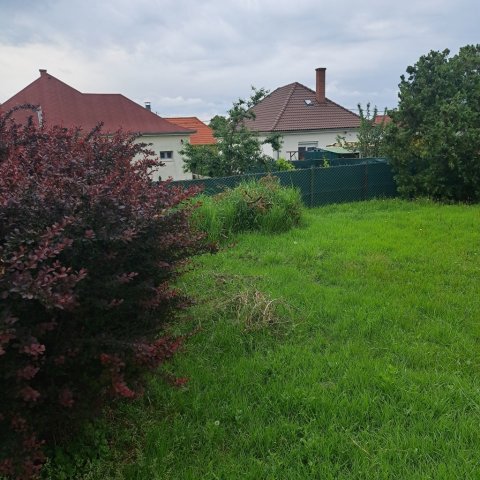 Eladó családi ház, Pétfürdőn 78 M Ft, 5 szobás