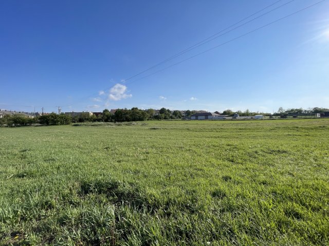 Eladó telek, Várpalotán 25 M Ft / költözzbe.hu