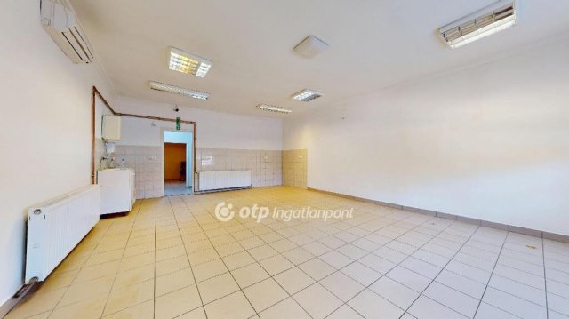 Eladó mezogazdasagi ingatlan, Nyírpazonyon 43.9 M Ft