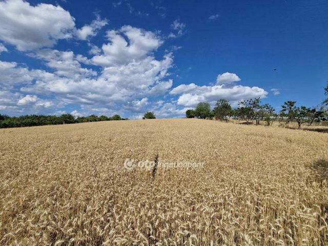 Eladó mezogazdasagi ingatlan, Berhidán 29.9 M Ft