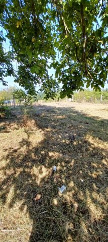 Eladó mezogazdasagi ingatlan, Környén 10.9 M Ft