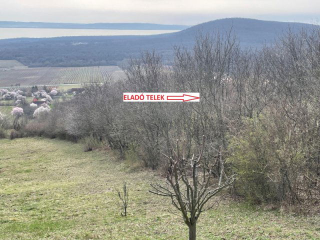 Eladó telek, Monoszlón 40 M Ft / költözzbe.hu