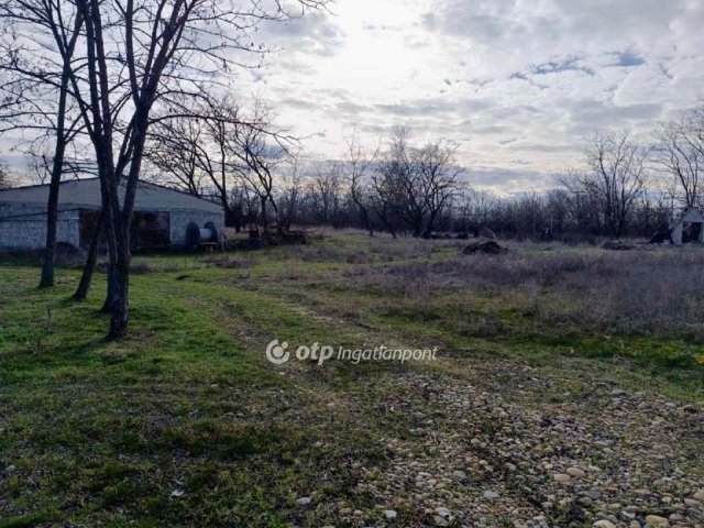 Eladó mezogazdasagi ingatlan, Rémen 14.9 M Ft