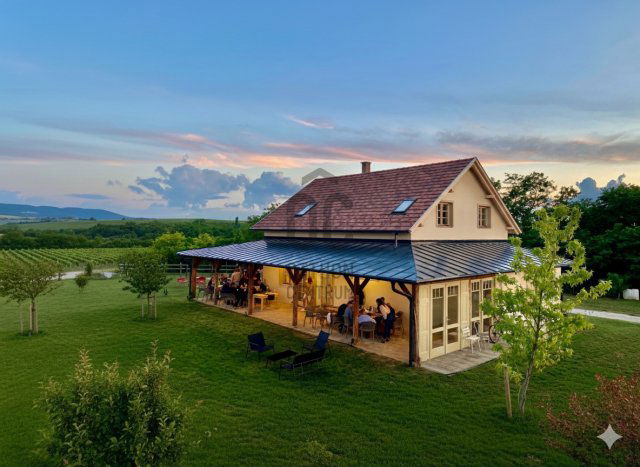 Eladó családi ház, Balatonlelleén 220 M Ft, 5 szobás