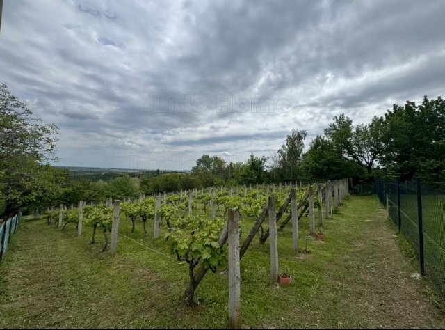 Eladó mezogazdasagi ingatlan, Ságváron 24.9 M Ft, 2 szobás