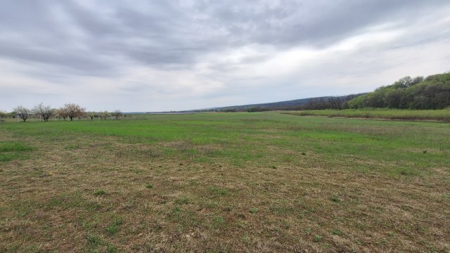 Eladó mezogazdasagi ingatlan, Gödöllőn 41.9 M Ft