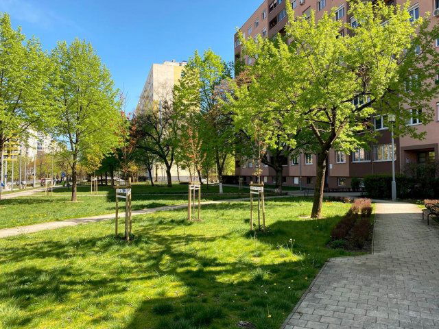 Eladó panellakás, Budapesten, XI. kerületben, Etele úton