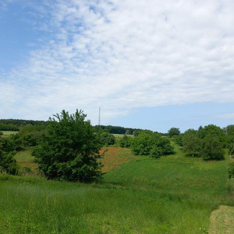 Eladó mezogazdasagi ingatlan, Balatonberényben 10.9 M Ft