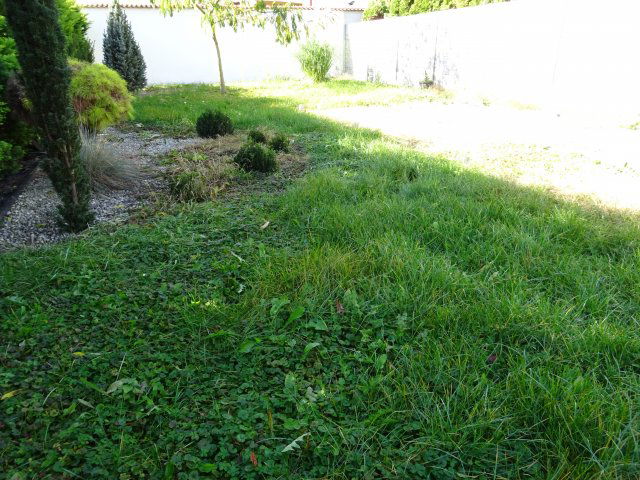 Eladó családi ház, Sén 24.9 M Ft, 2 szobás