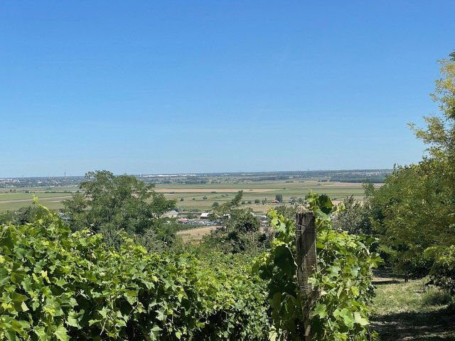 Eladó mezogazdasagi ingatlan, Győrújbaráton 16.98 M Ft