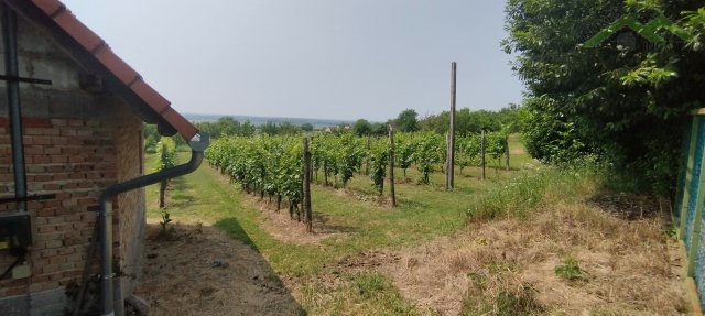 Eladó mezogazdasagi ingatlan, Harkányban 11.5 M Ft