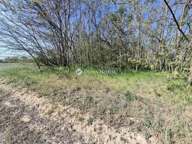 Eladó telek, Kerekegyházán 14.9 M Ft / költözzbe.hu